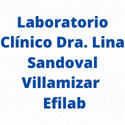 Laboratorio Clínico Doctora Lina Sandoval Villamizar Efilab