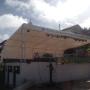 tarimas