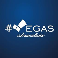 Vegas Suministros Empresariales S.A.S