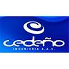 CEDEÑO INGENIERÍA S.A.S.- RICHARD CEDEÑO