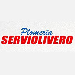 Reparaciones Serviolivero