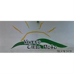 Vivero cielo Roto