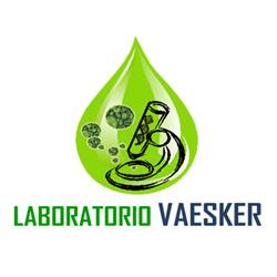 Laboratorio Vaesker