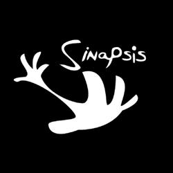 Sublimación Sinapsis Conexión Creativa
