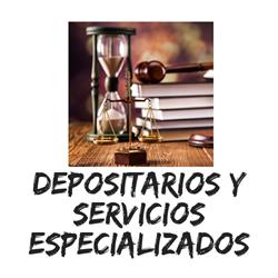 DEPOSITARIOS Y SERVICIOS ESPECIALIZADOS