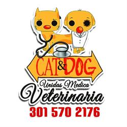 Cat y Dog