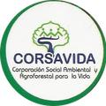 Corsavida