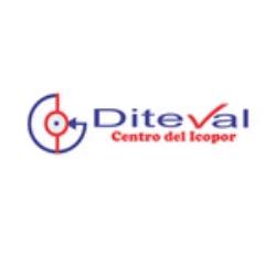 CONSTRUPOR DITEVAL S.A.S