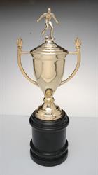 FÁBRICA DE TROFEOS LA MEJOR