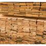 Madera