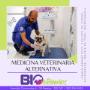 MEDICINA VETERINARIA ALTERNATIVA