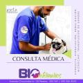 CONSULTA-MÉDICA