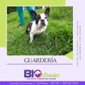 GUARDERÍA
