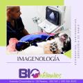 IMAGENOLOGÍA