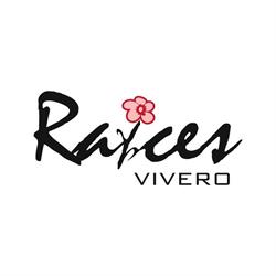 Vivero Raíces