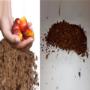 # 2