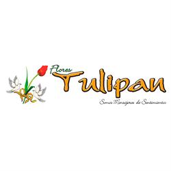 Flores Tulipán