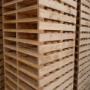 Suministramos madera en general para la industria