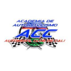 Academia de automovilismo Autocali