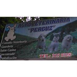 AGROVETERINARIA PERGUZ