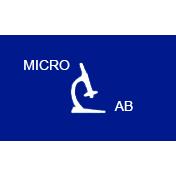 Microlab & Cia Ltda