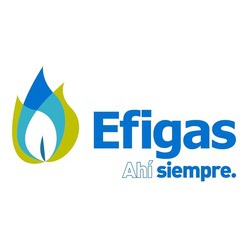 EFIGAS S.A. E.S.P.