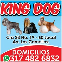 King Dog Pet Shop