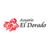 ACUARIO EL DORADO