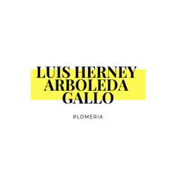 LUIS HERNEY ARBOLEDA GALLO