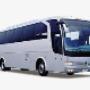 buses 40 puestos