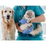Guardería Canina y Felina Campestre, el refugio perfecto para su mascota. Ofrecemos atención veterinaria de calidad, cuidados personalizados y un entorno natural para que perros y gatos disfruten de libertad y confort. Confíe en nosotros para la salud y felicidad de su peludo amigo. Estamos en Colombia.