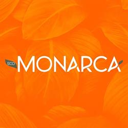Pinturas Monarca