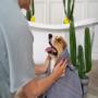 Peluquería canina.