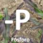 # 4