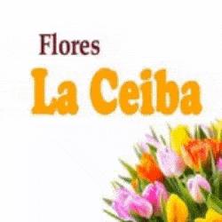 Flores La Ceiba