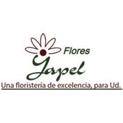 FLORES YAPEL