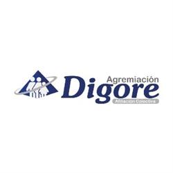 Grupo Digore S.A.S.