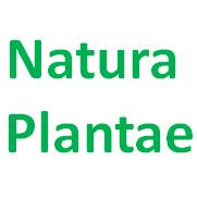 Natura Plantae