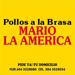 Pollos a la Brasa Mario La América