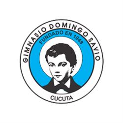 GIMNASIO DOMINGO SAVIO SAS