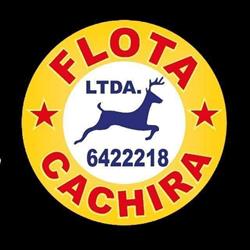 Flota Cáchira Ltda.