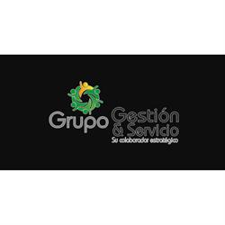 Grupo Gestión y Servicios