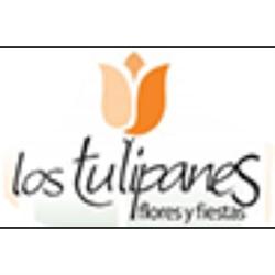 Los Tulipanes Flores Y Fiestas