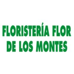 Floristería Flor de Los Montes