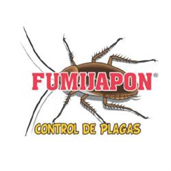 Fumijapon