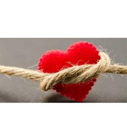Templos del Amor