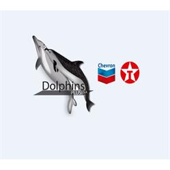 Dolphins Plus