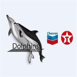 Dolphins Plus Estrella de Oriente