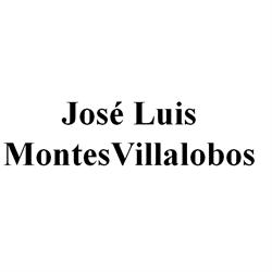 Dr JOSE LUIS MONTES VILLALOBOS