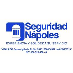 Seguridad Nápoles Ltda.